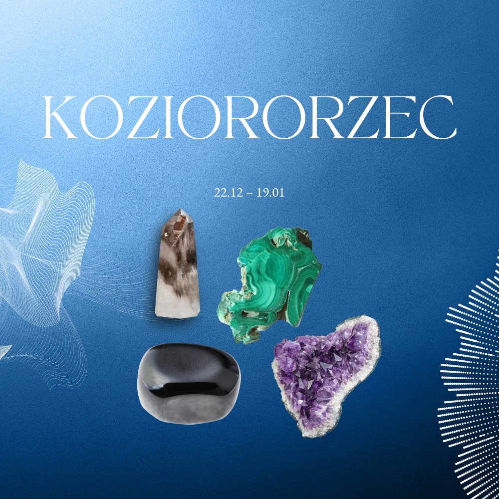 Koziorożec kamień — poradnik z zakupami!